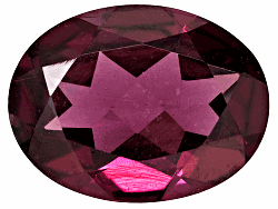 WT1V000336