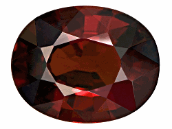GSV013