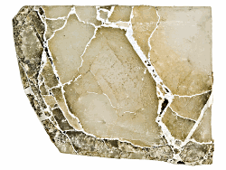 JLW2398B