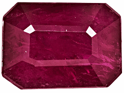 ACTHA01264