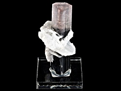 Impressive, Well-formed Trigonal Bi-color Tourmaline Crystal With Albite Mineral Specimen On Stand