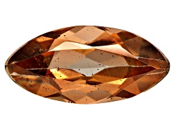 ANM002