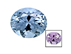 Z7V009